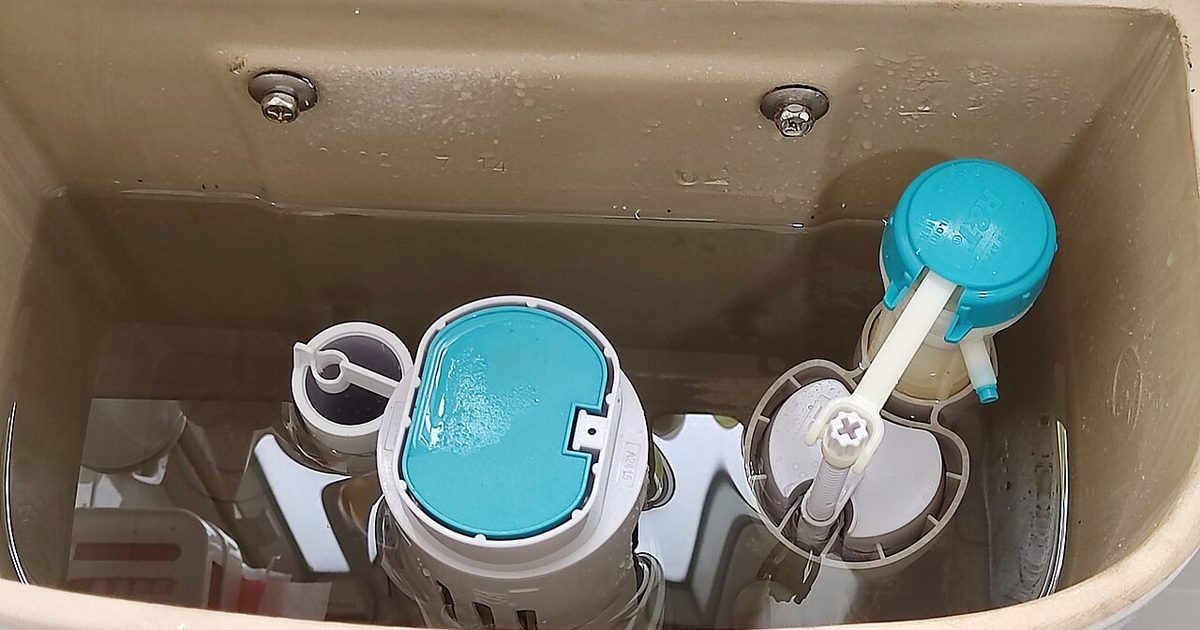 Open toilet cistern showing the float and flush valve parts