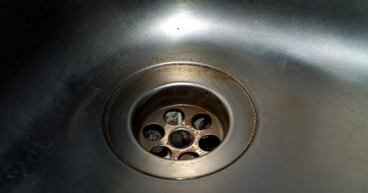 Why Does My Drain Smell Like Sewer? Causes, Fixes and When to Call