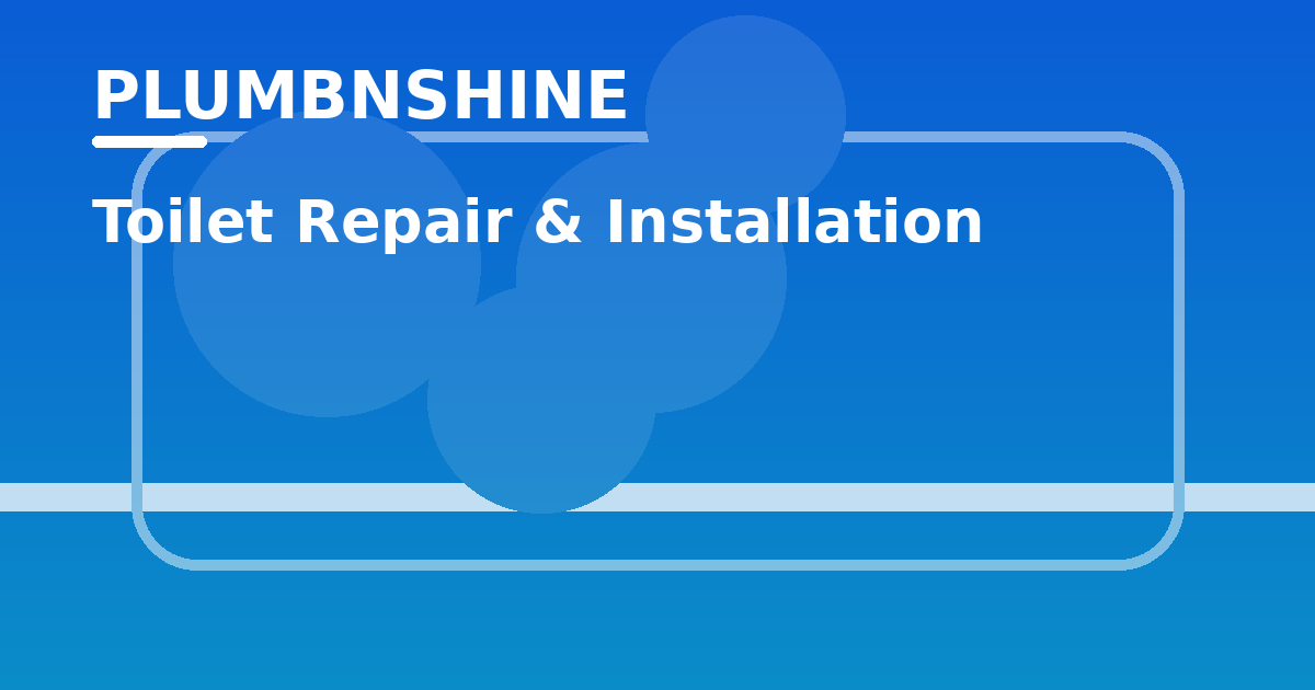 Toilet Repair & Install